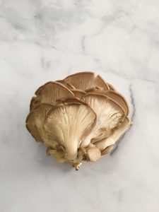 Oyster Mushroom.