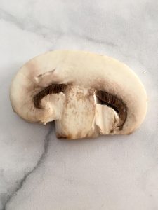 Photo of a White Button Mushroom.